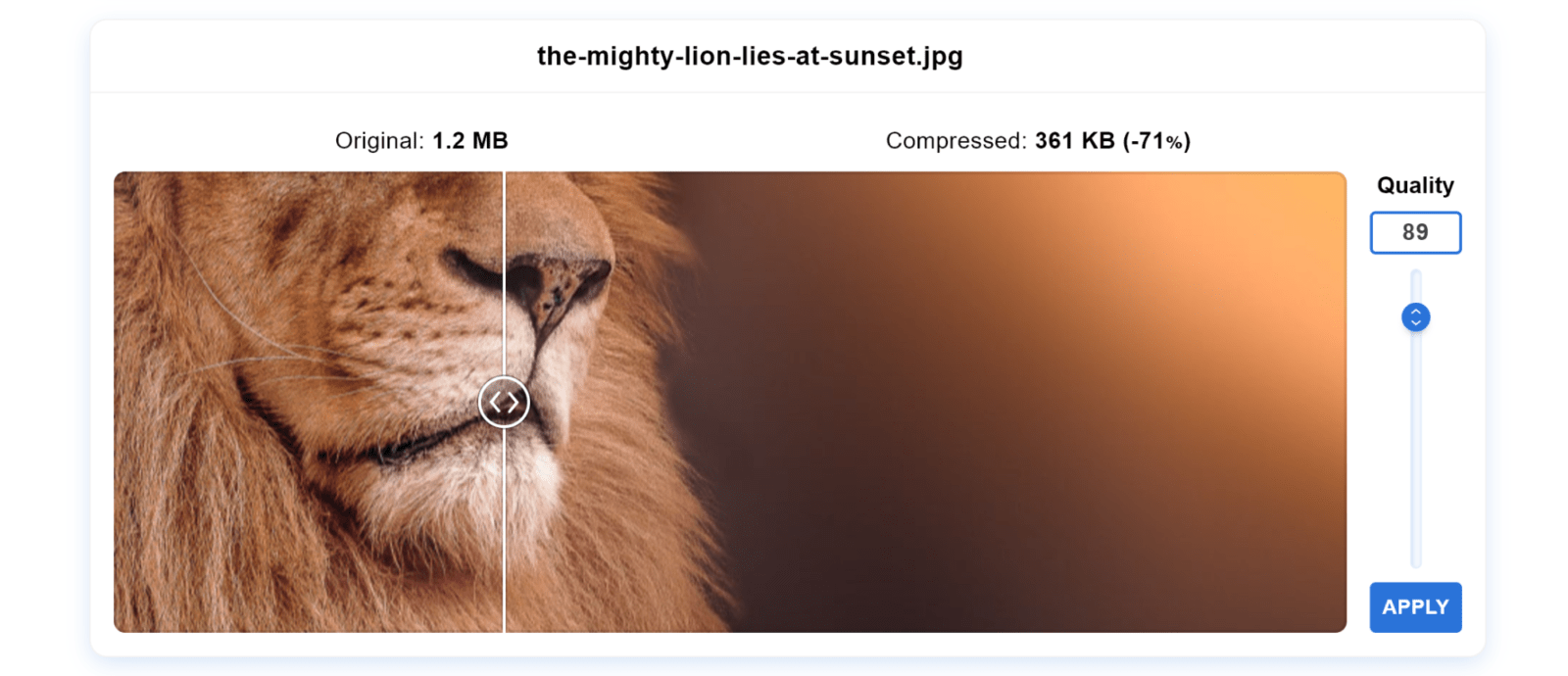 SEO-Bilder – so rankt Ihre Website besser